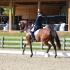 Kim Gentry Dressage